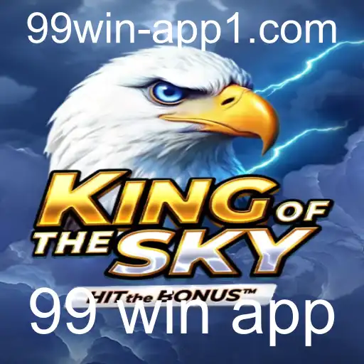 Descubra o Fascinante Mundo de KingOfTheSky: Inovação e Competição no 99 Win App
